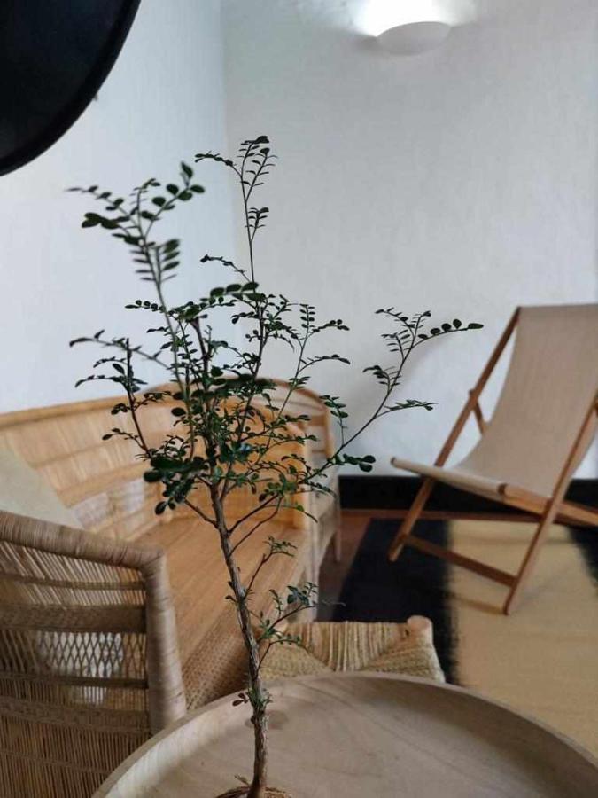テギセCasa Yooj Designers House In Teguiseアパートメント エクステリア 写真